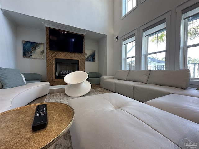 living room featuring hardwood / wood-style floors, a wealth of natural light, and a large fireplace