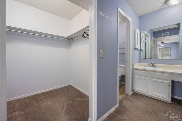 2201 Scenic Hwy Unit M1, Pensacola, FL 32503 - walk in closet with a sink and dark carpet
