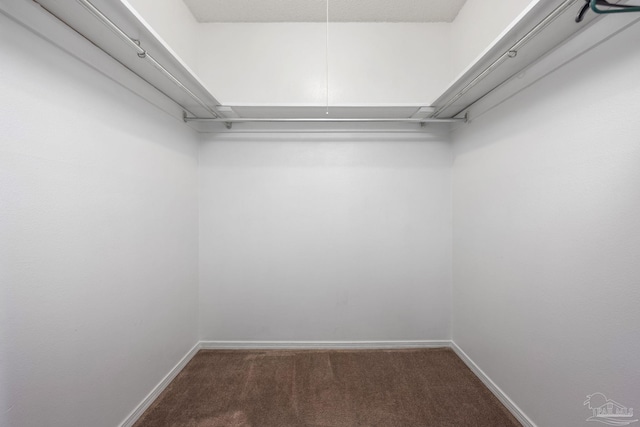 2201 Scenic Hwy Unit M1, Pensacola, FL 32503 - walk in closet with carpet flooring