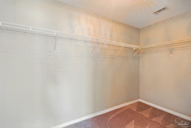 walk in closet featuring carpet floors and visible vents