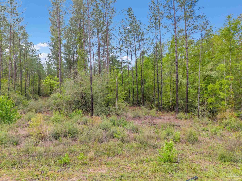 LOT8 Mineral Springs Rd, Jay, FL 32565