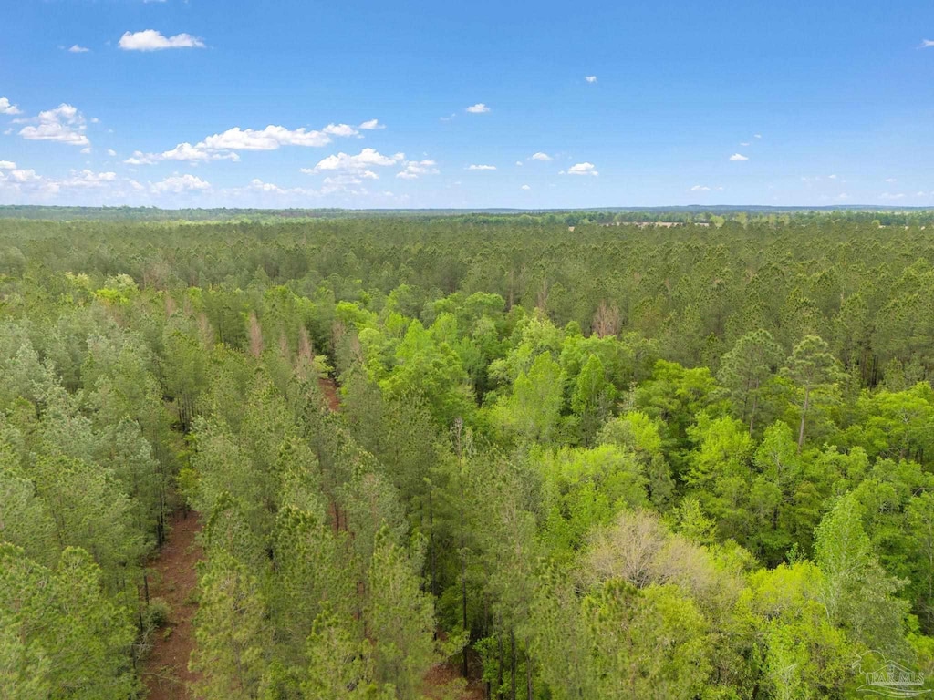 LOT8 Mineral Springs Rd, Jay, FL 32565