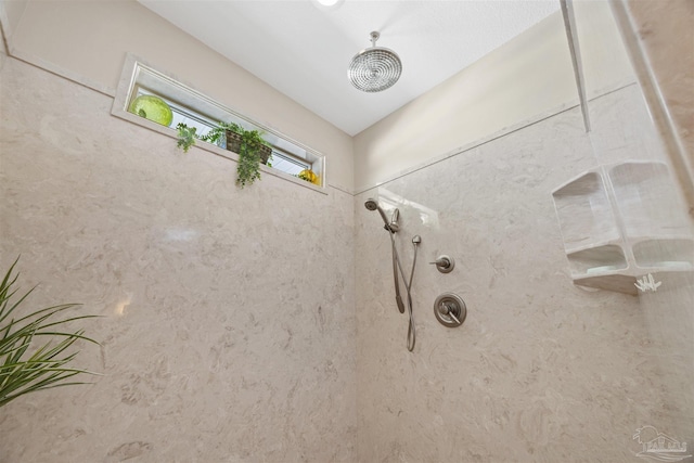 room details with a tile shower