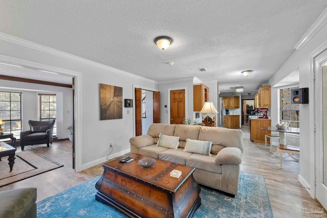 living area featuring light wood finished floors, ornamental molding, and a textured ceiling