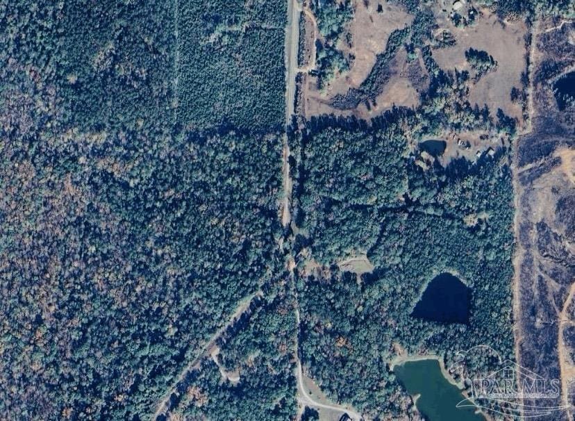 0 Pettus Rd, Lapine, AL 36046