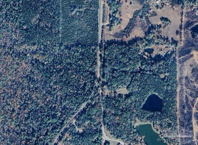 0 Pettus Rd, Lapine, AL 36046