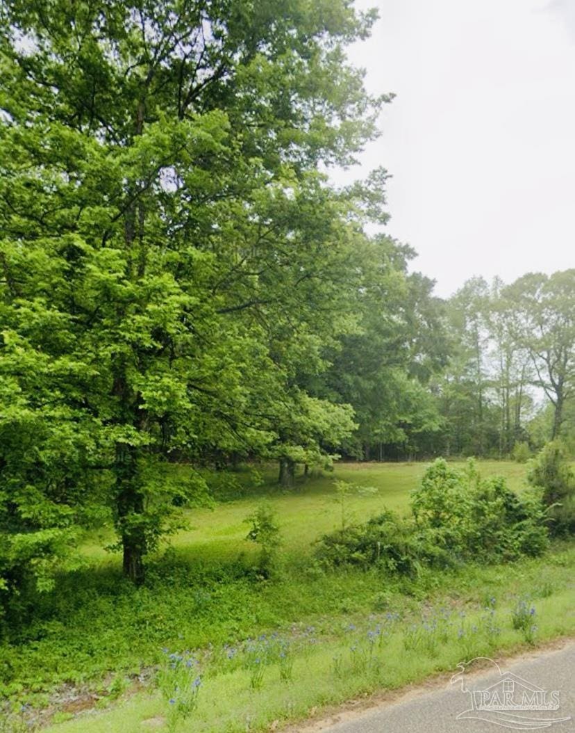 0 Pettus Rd, Lapine, AL 36046
