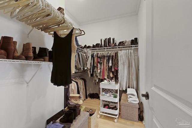 spacious closet with wood finished floors