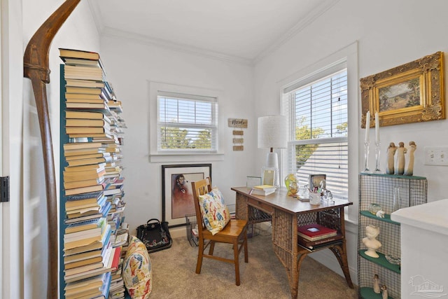 carpeted office with arched walkways, a wealth of natural light, and crown molding