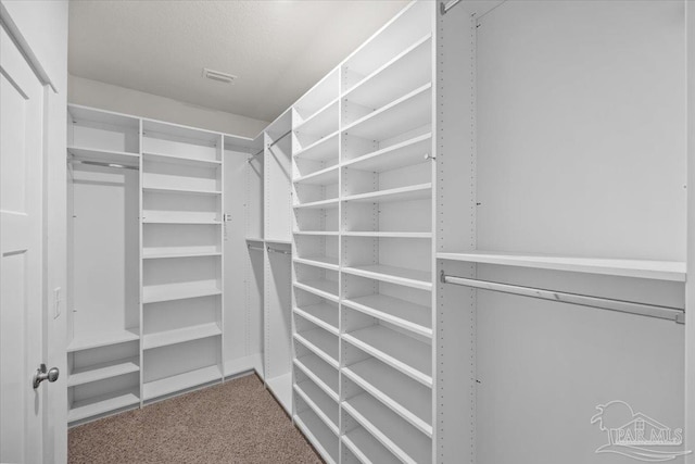 10826 Blacktail Loop, Pensacola, FL 32526 - walk in closet featuring carpet flooring