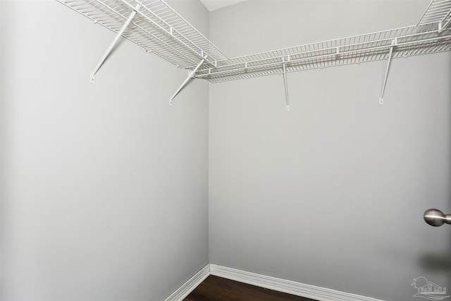 walk in closet with dark wood-type flooring