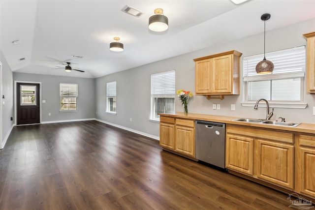 kitchen with ceiling fan, dark wood finished floors, a wealth of natural light, dishwasher, and a sink