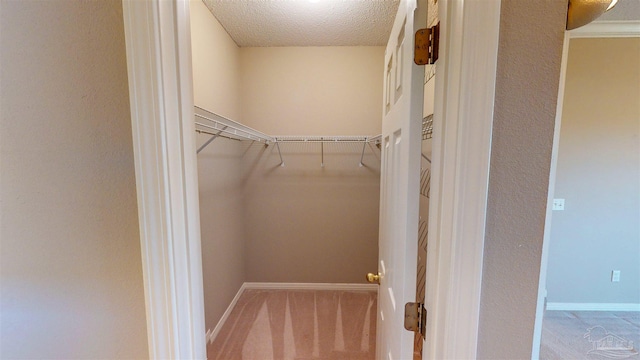 spacious closet featuring light colored carpet