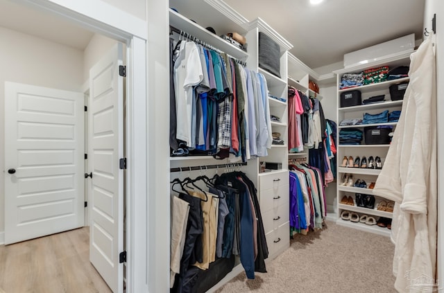 view of spacious closet