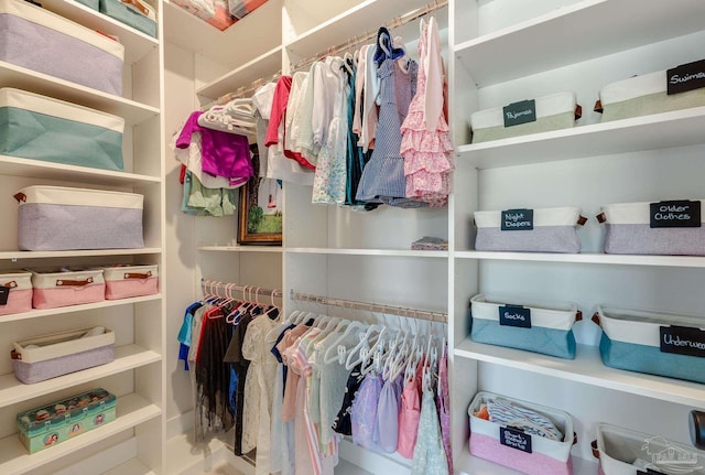 view of spacious closet