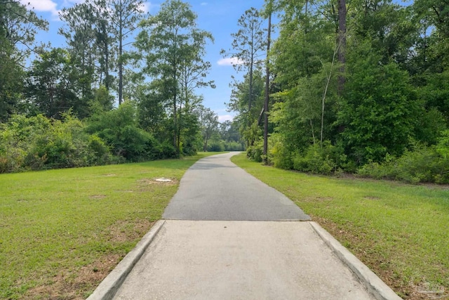 3921 Amble Way, Pace, FL 32571 - view of street with curbs and a forest view