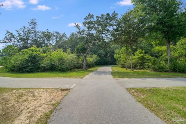 3921 Amble Way, Pace, FL 32571 - view of street featuring a forest view