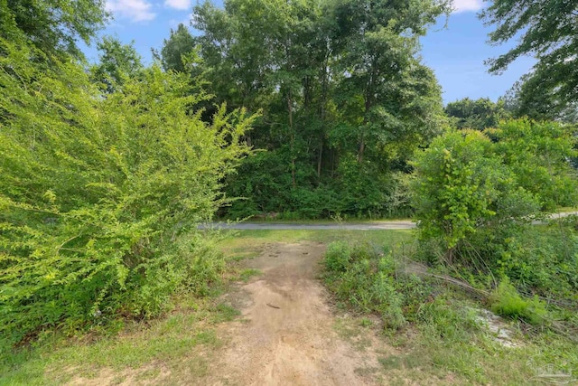 3921 Amble Way, Pace, FL 32571 - view of street