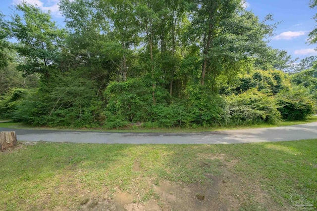 3921 Amble Way, Pace, FL 32571 - view of street
