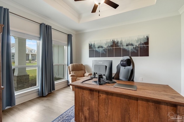 home office featuring light wood-style floors, crown molding, a ceiling fan, and a tray ceiling
