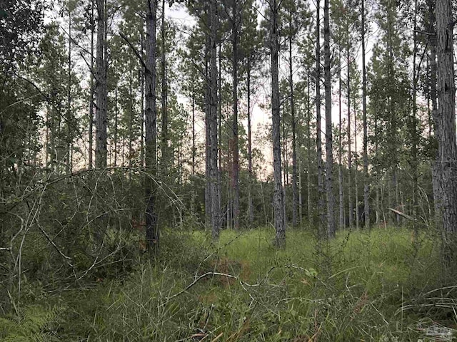 LOT1 Wallace Lake Rd, Pace FL, 32571 land for sale