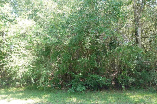 00 Riverwood Rd, Milton FL, 32583 land for sale