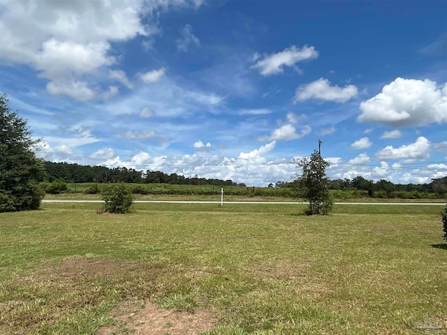 view of yard with a rural view