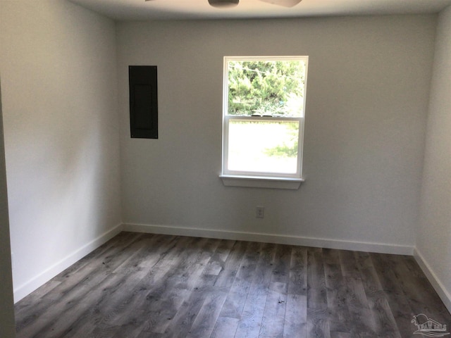 spare room with hardwood / wood-style floors, plenty of natural light, ceiling fan, and electric panel