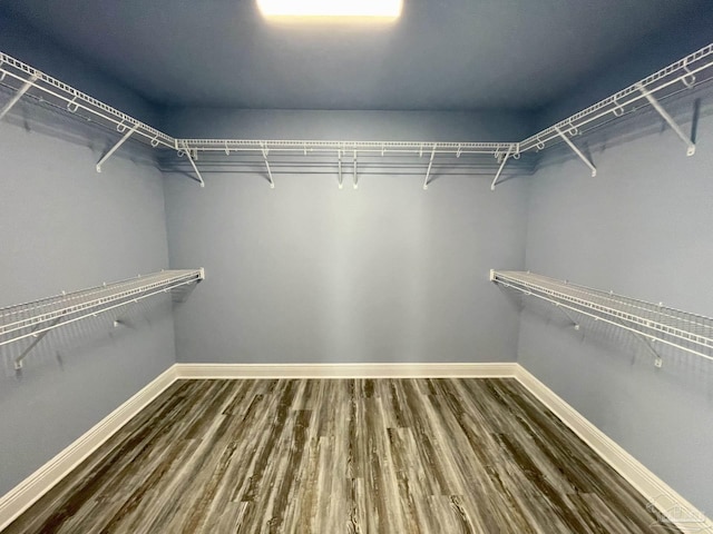 walk in closet with wood-type flooring