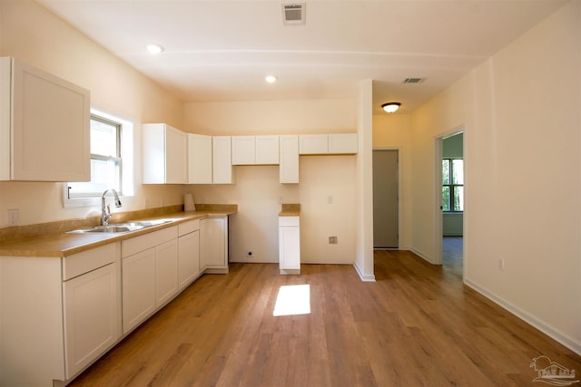 kitchen with sink, light hardwood / wood-style flooring, and plenty of natural light