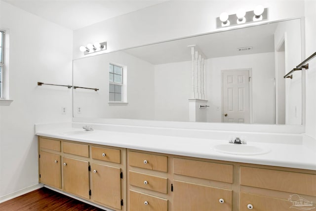 bathroom with wood-type flooring and vanity