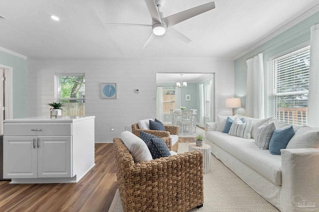 living room featuring ornamental molding, dark wood-type flooring, ceiling fan with notable chandelier, and a textured ceiling