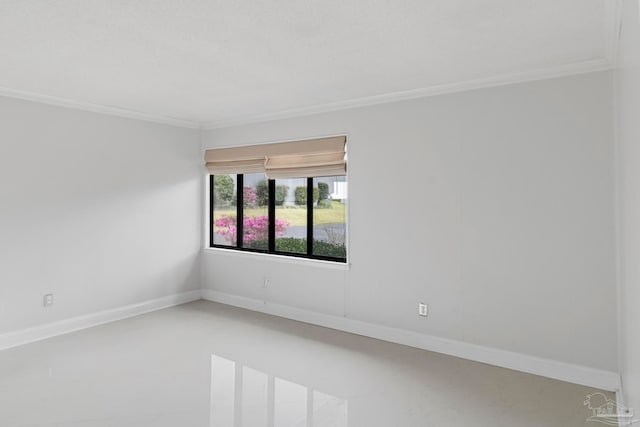 spare room featuring ornamental molding