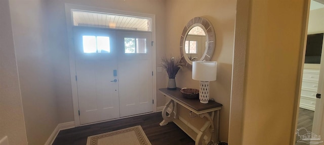 foyer entrance with dark hardwood / wood-style flooring