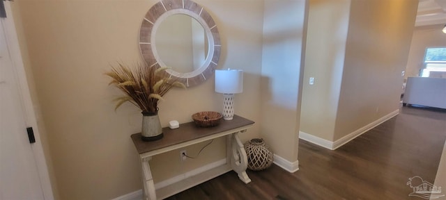 corridor with dark hardwood / wood-style flooring