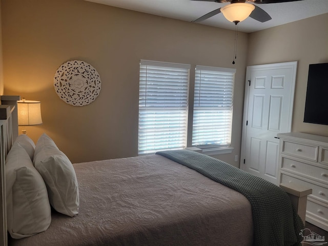 bedroom with ceiling fan