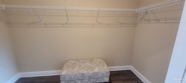 spacious closet with dark wood-type flooring