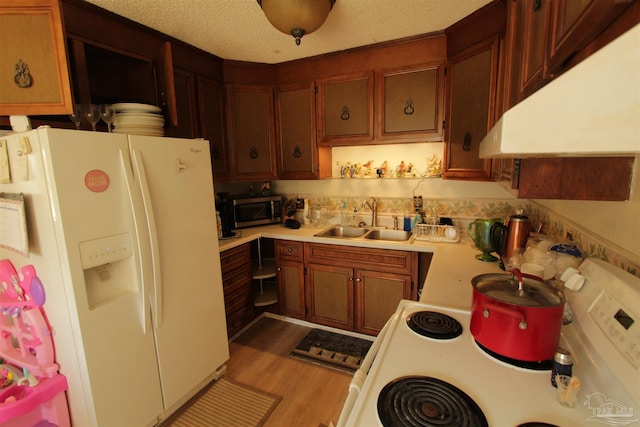 kitchen featuring light wood finished floors, light countertops, white appliances, a textured ceiling, and a sink