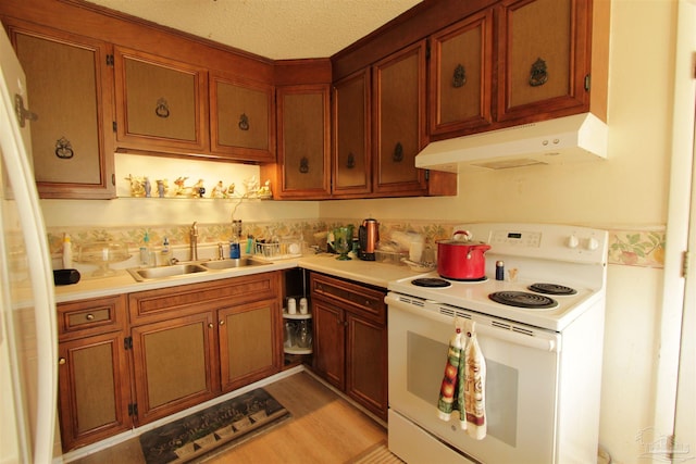 kitchen with a sink, light countertops, under cabinet range hood, white electric range, and brown cabinets