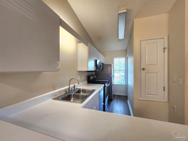 kitchen featuring lofted ceiling, sink, appliances with stainless steel finishes, a textured ceiling, and dark hardwood / wood-style flooring