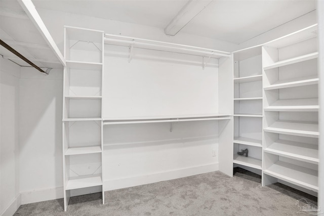 9852 Hillview Dr, Pensacola, FL 32514 - walk in closet with carpet floors