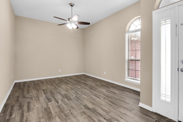 foyer entrance featuring ceiling fan, wood-type flooring, and a wealth of natural light