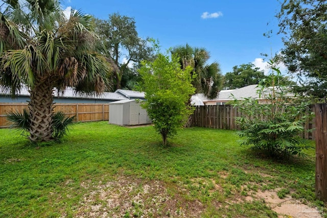 view of yard featuring a storage unit