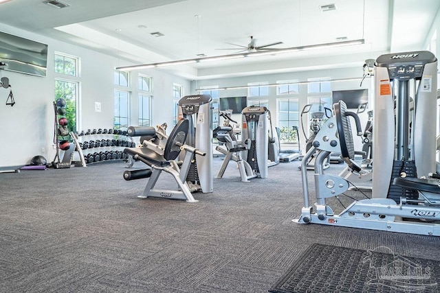 workout area featuring ceiling fan, a tray ceiling, and carpet flooring