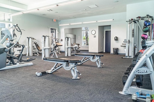workout area featuring baseboards and carpet floors