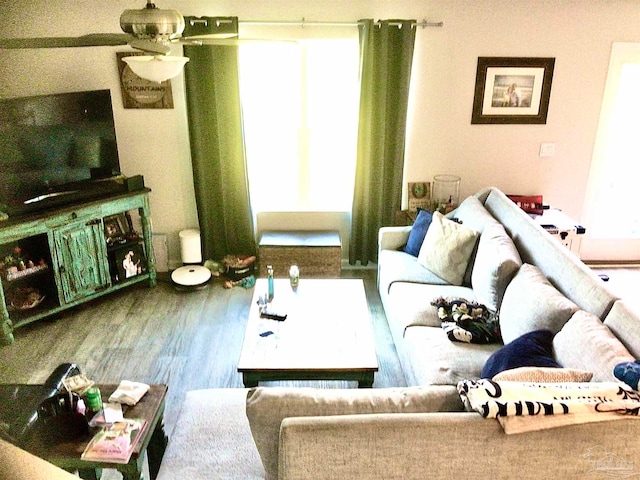 living room with ceiling fan and hardwood / wood-style flooring