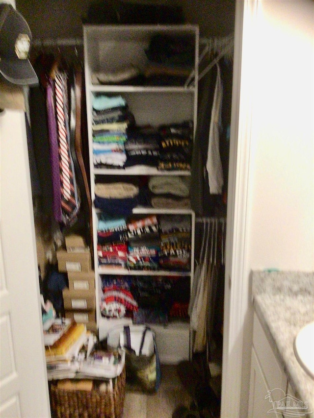 view of closet