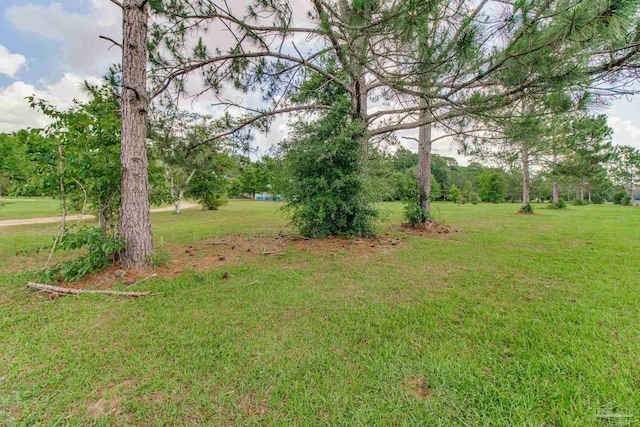 8206 Chumuckla Hwy, Pace, FL 32571 - view of green lawn
