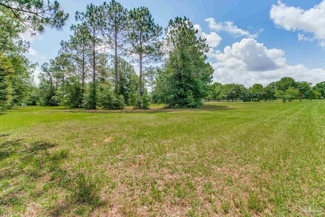 8206 Chumuckla Hwy, Pace, FL 32571 - view of green lawn
