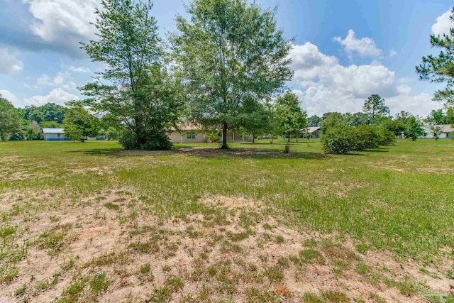 8206 Chumuckla Hwy, Pace, FL 32571 - view of yard